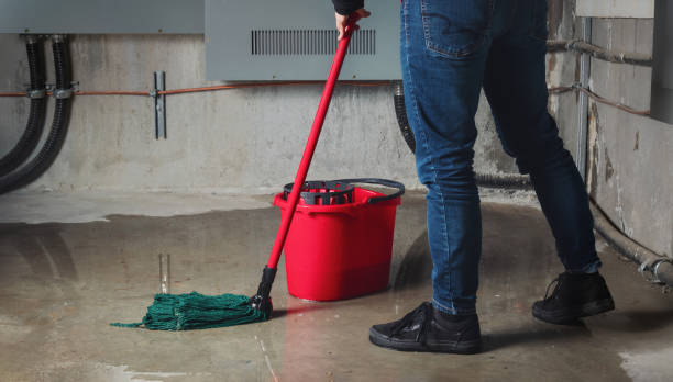 Best Water damage restoration near me  in Wren, AR