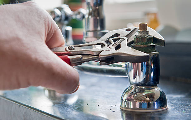 Best Water damage cleanup near me  in Wren, AR