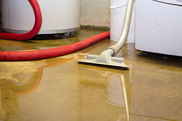 Best Emergency water damage restoration  in Wren, AR