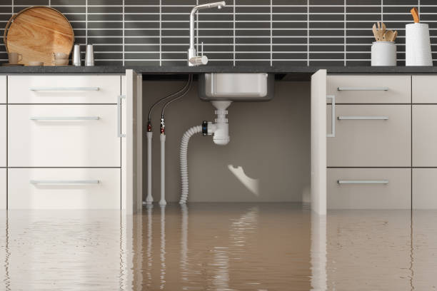Best Ceiling water damage repair  in Wren, AR